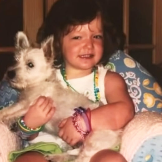 Florida woman reunited with lost senior dog after 331 days Madly Odd!