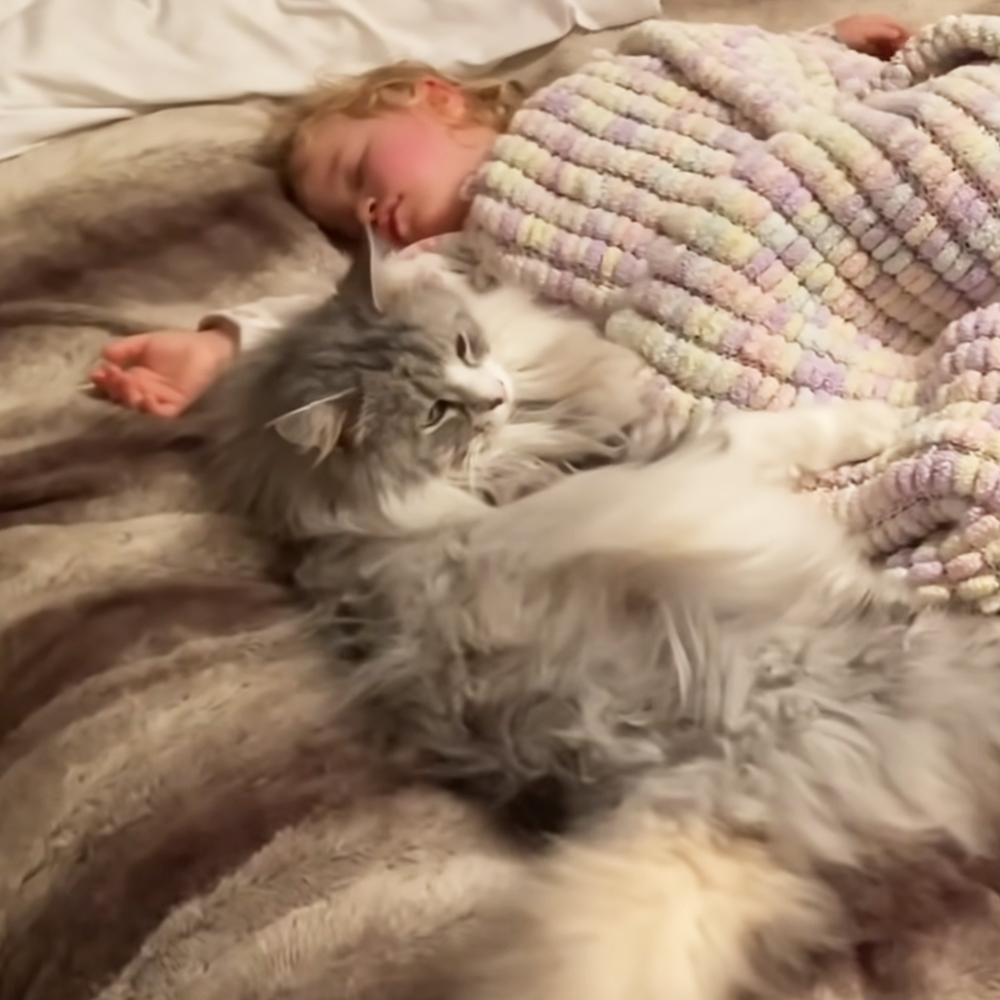 Cat and baby sleeping