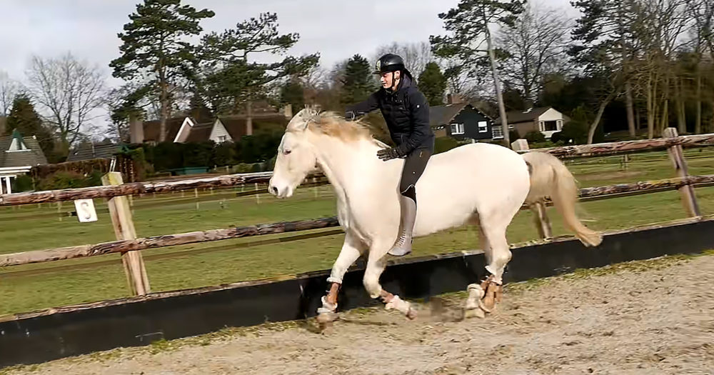 Man riding golden horse