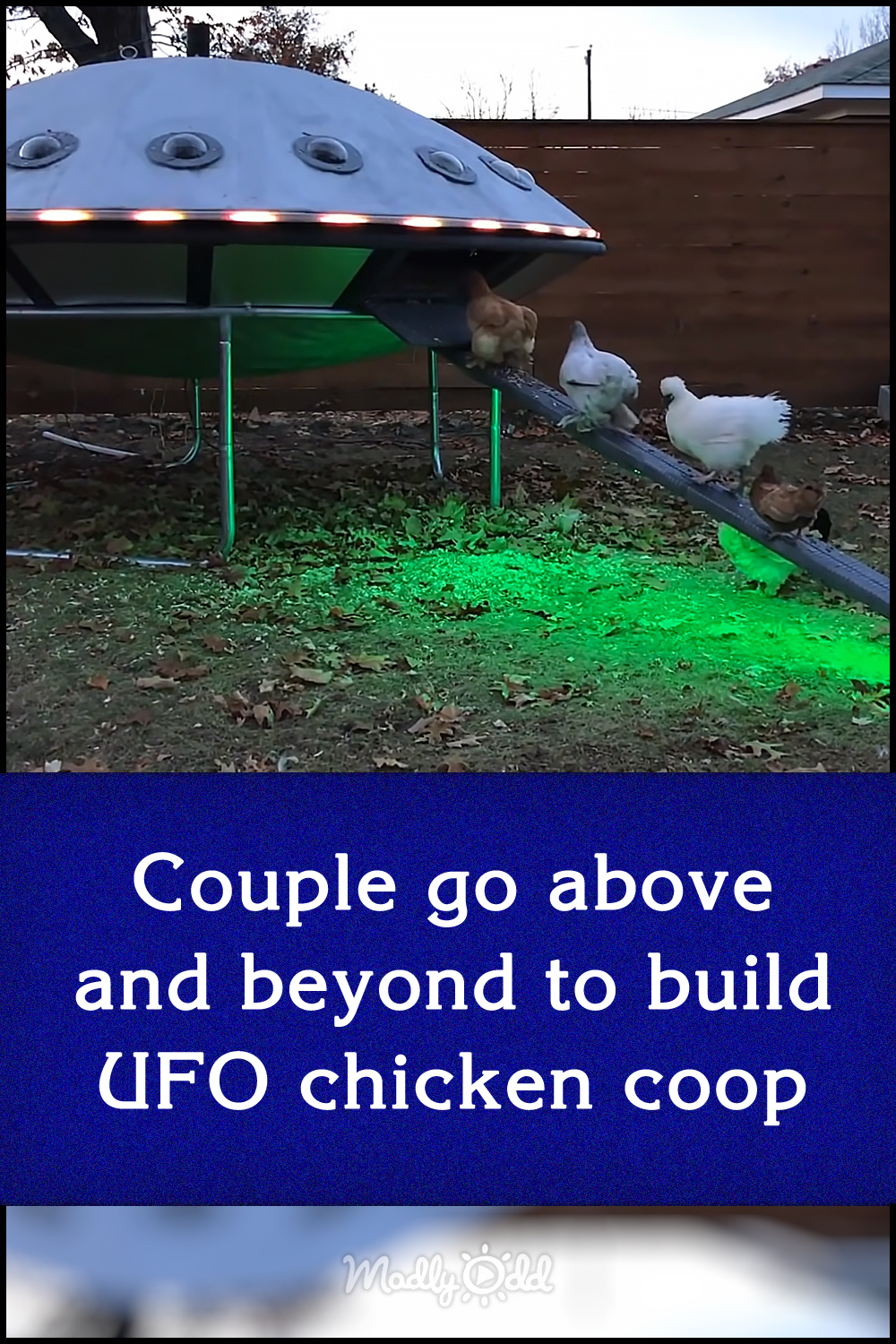 Couple go above and beyond to build UFO chicken coop