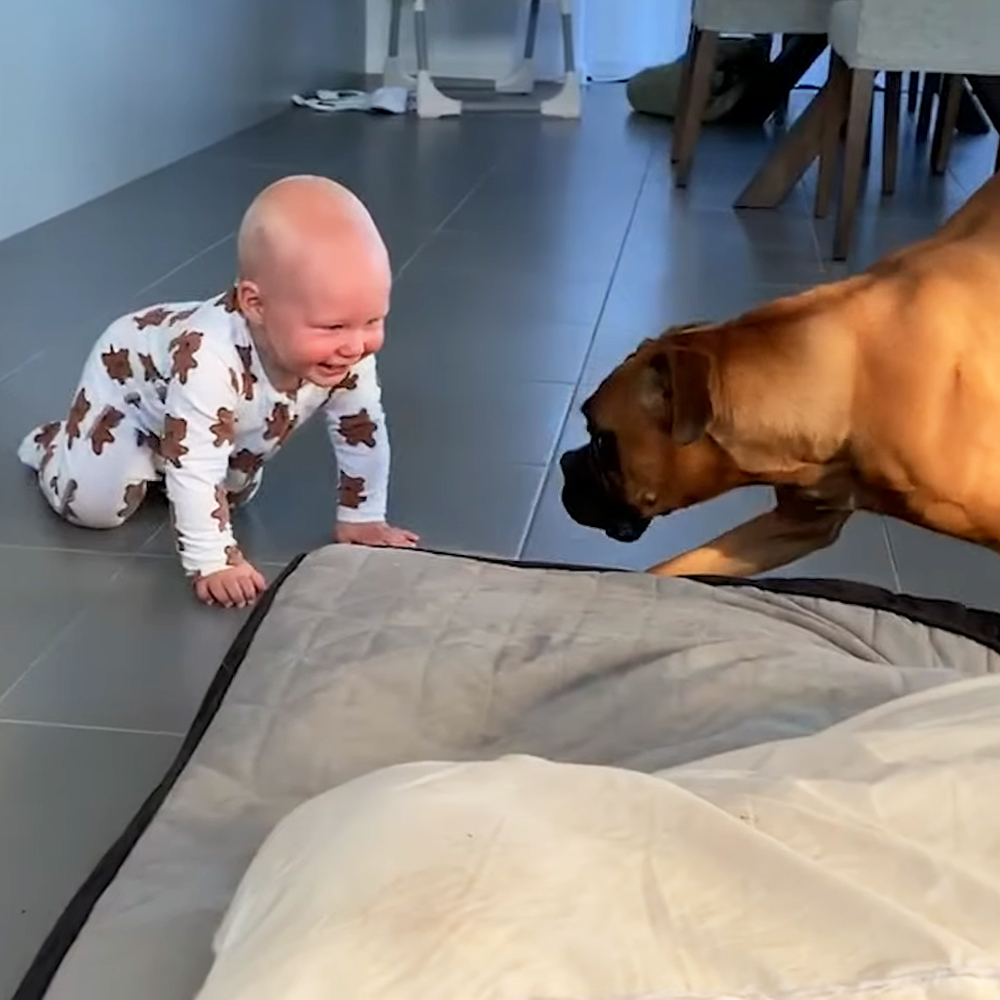 Baby and dog
