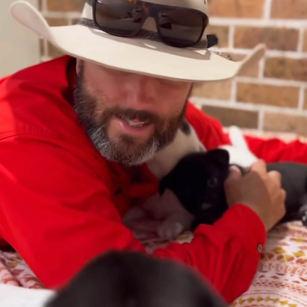 Man and puppies