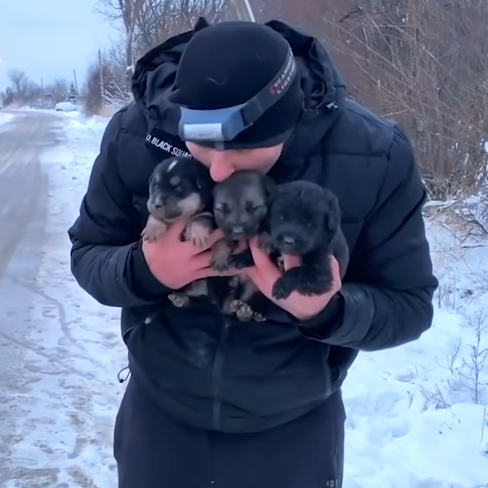 Man rescues puppies