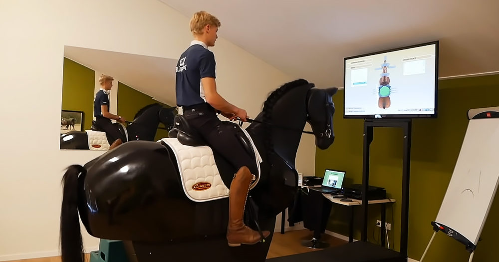 Horse simulator