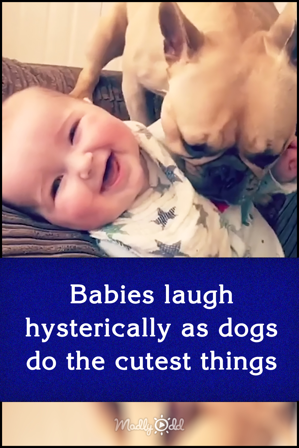 Babies laugh hysterically as dogs do the cutest things