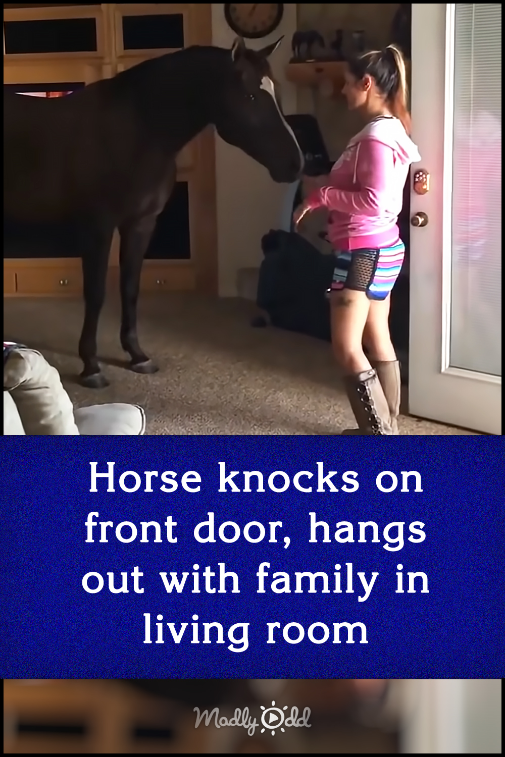 Horse knocks on front door, hangs out with family in living room