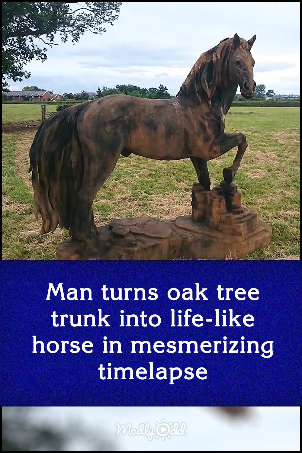 Man turns oak tree trunk into life-like horse in mesmerizing timelapse