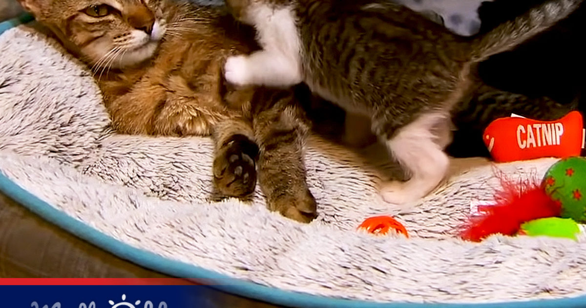 Pinterest Hidden Image