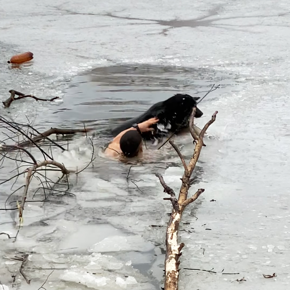 Ukrainian hero save dog trapped in icy lake