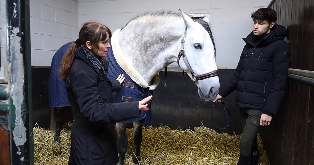 Horse psychic and horse