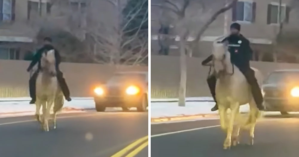 County Sherriff and horse