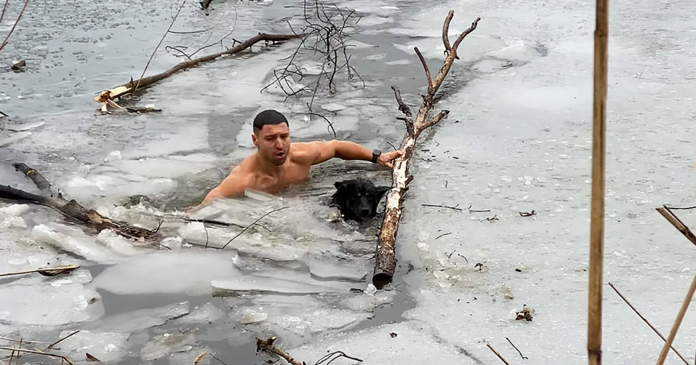 Ukrainian hero save dog trapped in icy lake