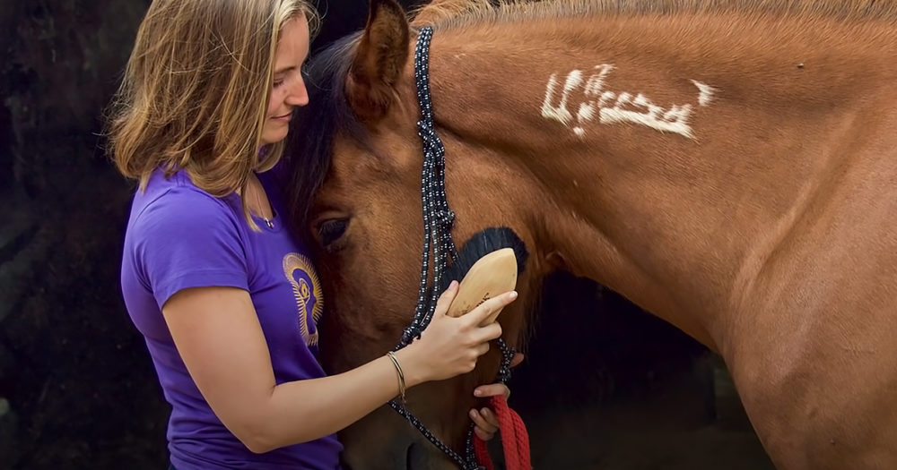 Woman reunites with horse