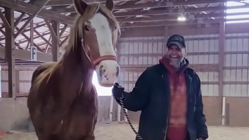 Rescue horse and his new dad