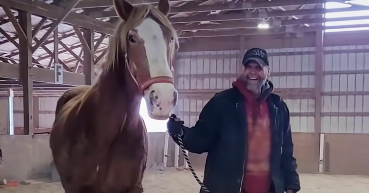 Rescue horse and his new dad