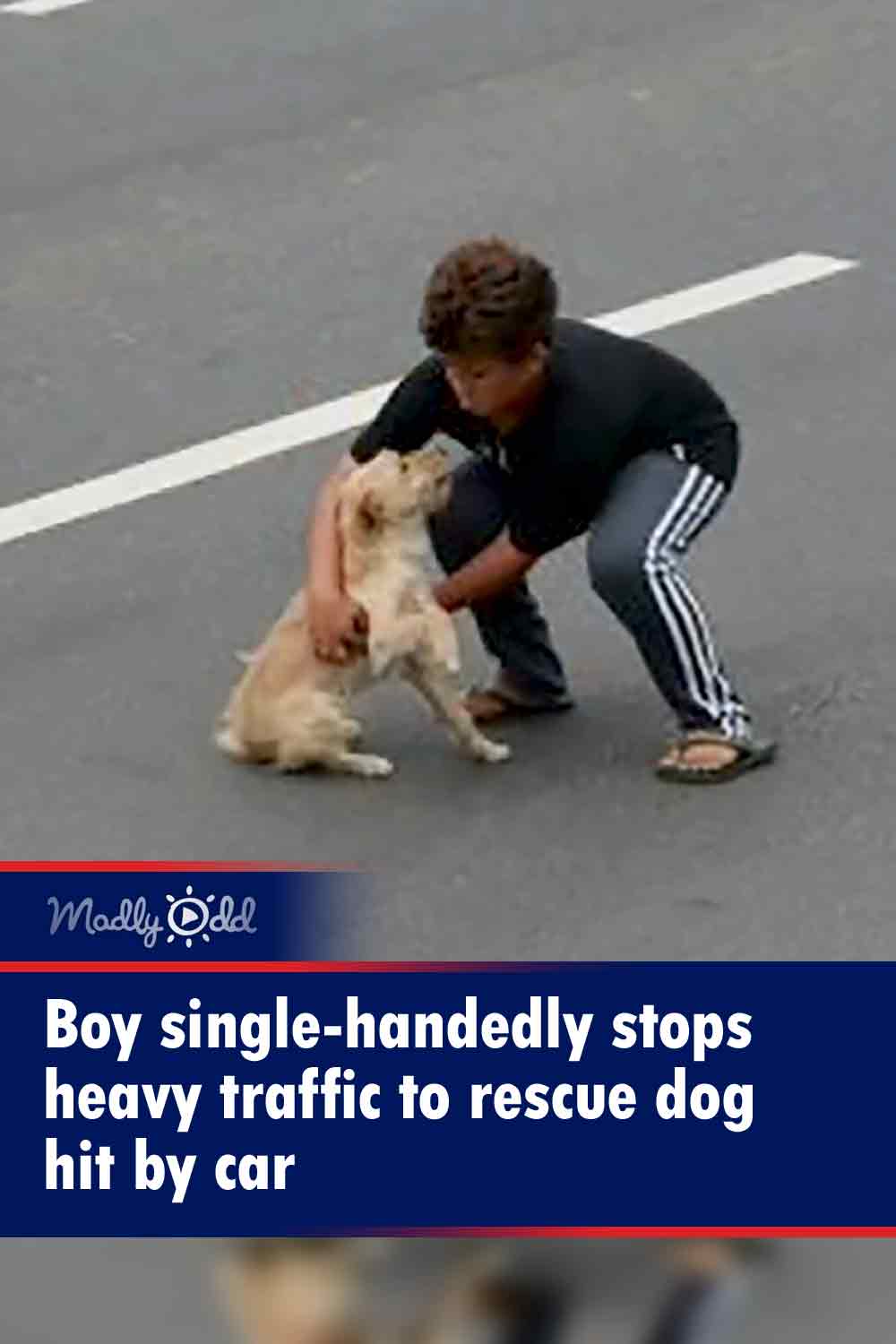 Boy single-handedly stops heavy traffic to rescue dog hit by car