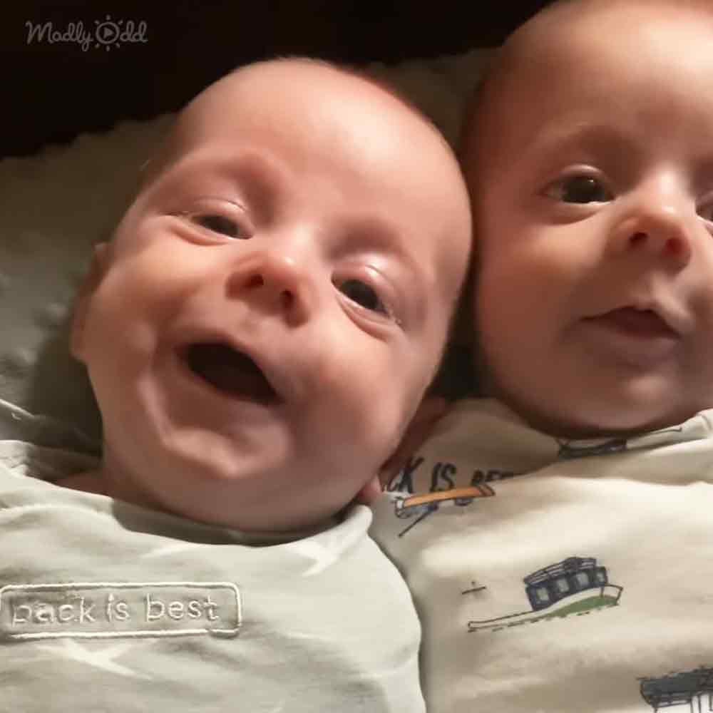 Cute twin babies