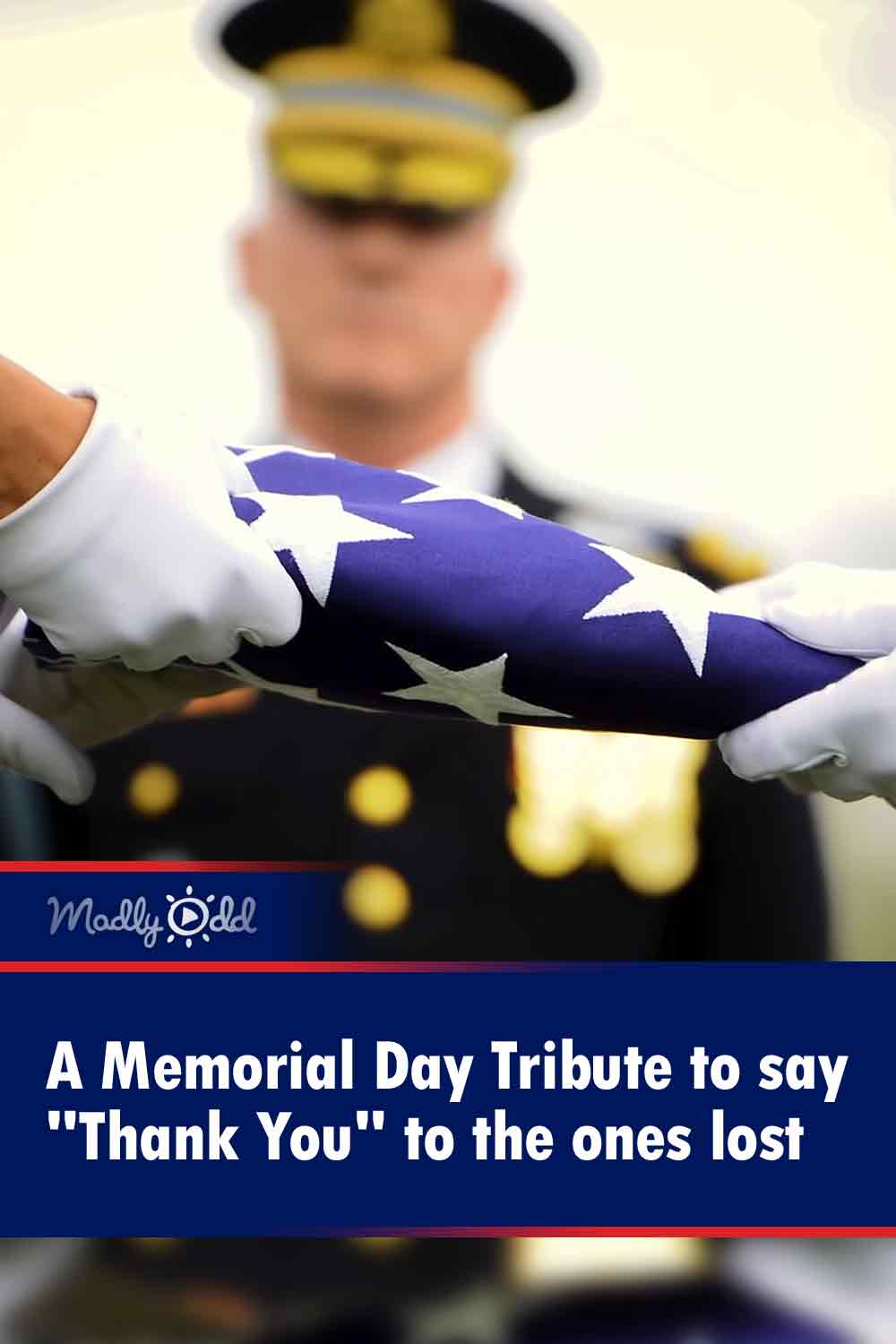 A Memorial Day Tribute to say \