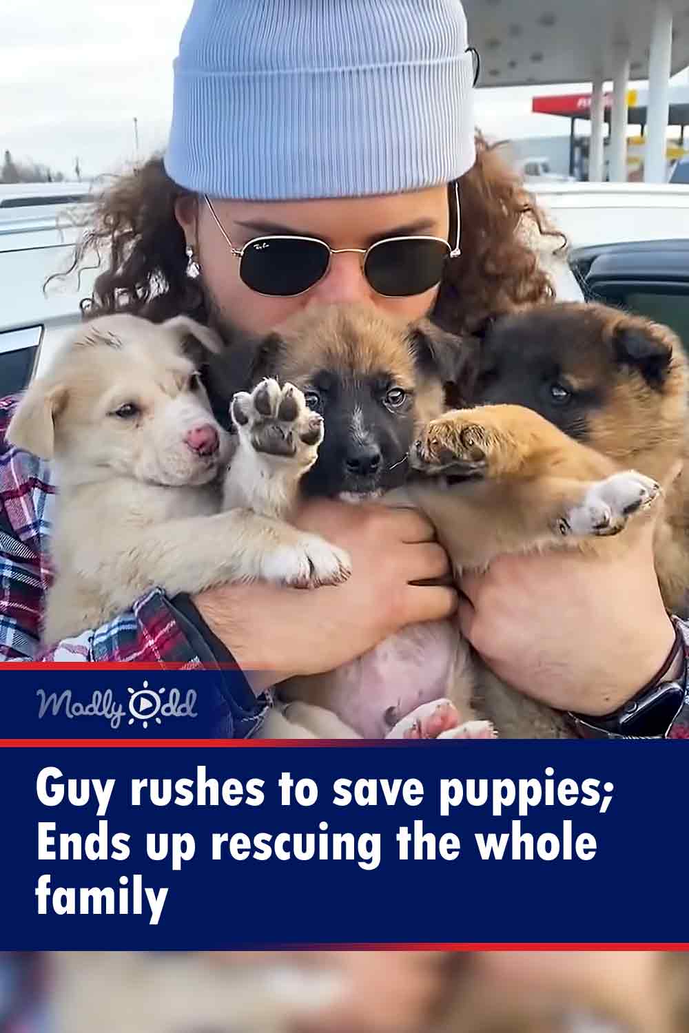 Guy rushes to save puppies; Ends up rescuing the whole family
