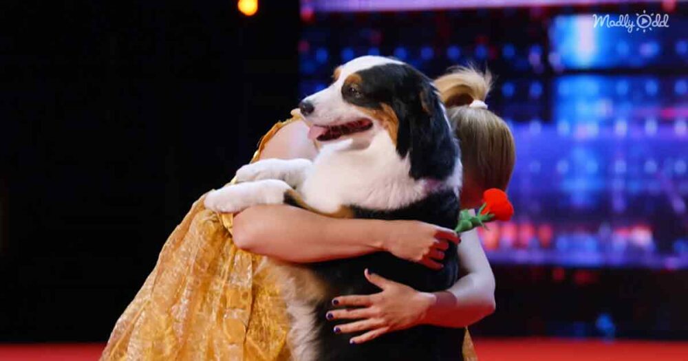 The Glamour Aussies on AGT