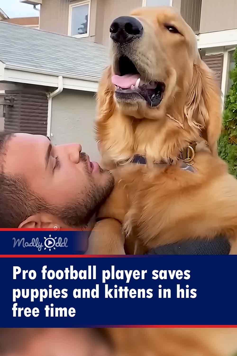 Pro football player saves puppies and kittens in his free time