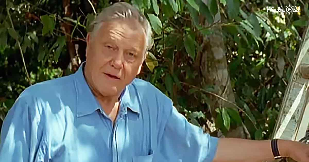 David Attenborough
