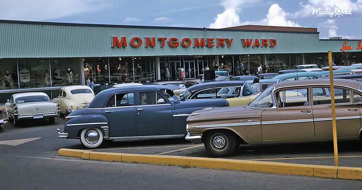 Montgomery Ward