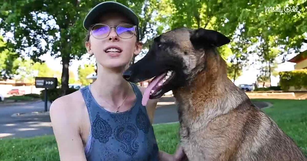 Brave dog and her owner