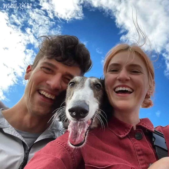 Dog the size of a horse has a personality to match Madly Odd!