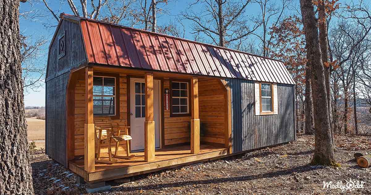 Image showcasing Home Depot shed converted into a comfy off-the-grid tiny home – Madly Odd!