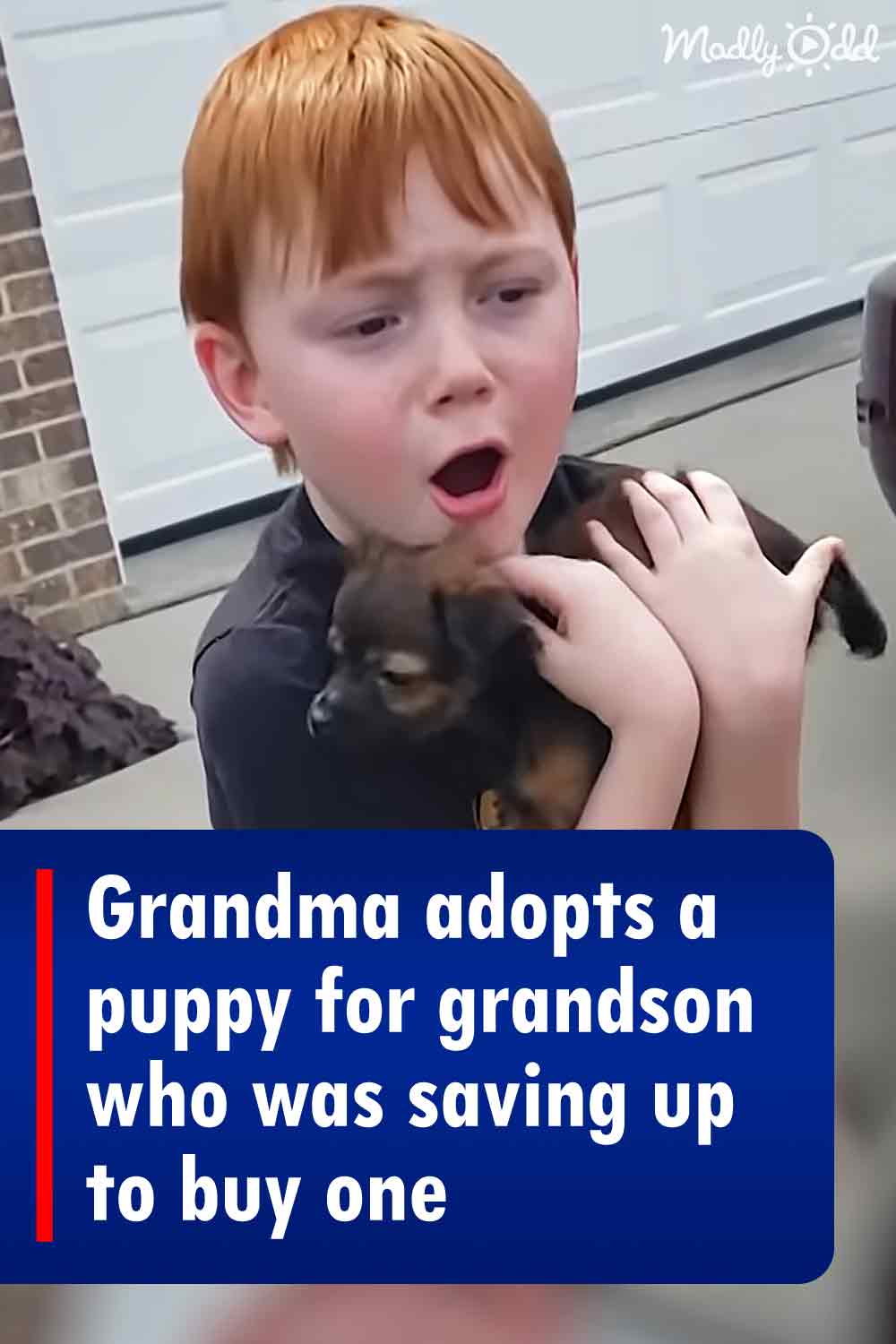 Grandma adopts a puppy for grandson who was saving up to buy one