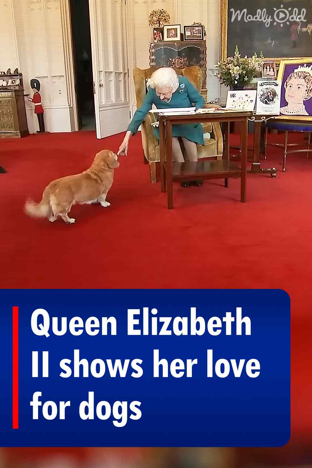 Queen Elizabeth II shows her love for dogs
