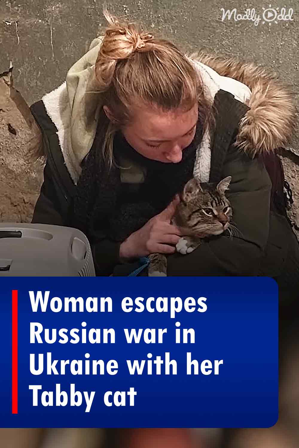 Woman escapes Russian war in Ukraine with her Tabby cat