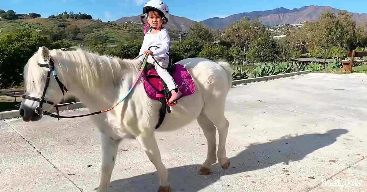 Toddler loves horse riding