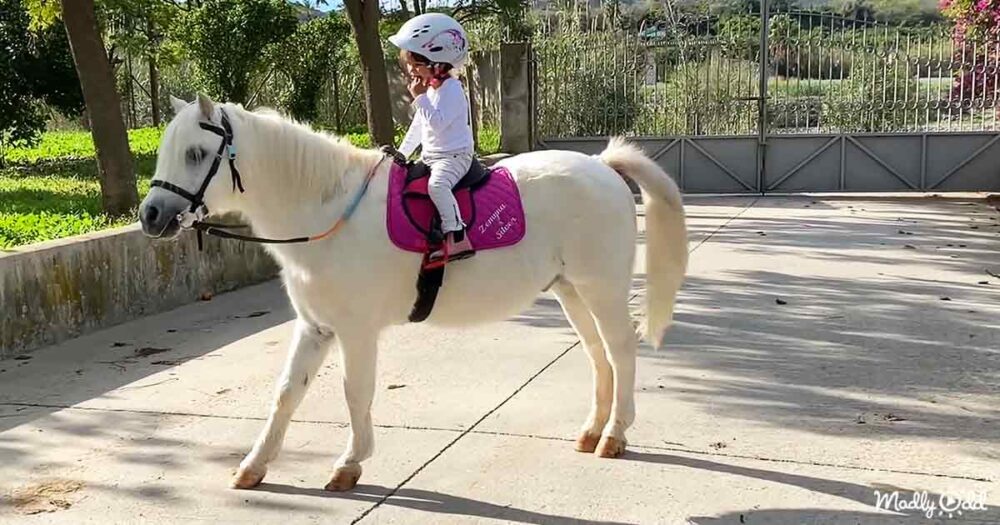 Toddler loves horse riding