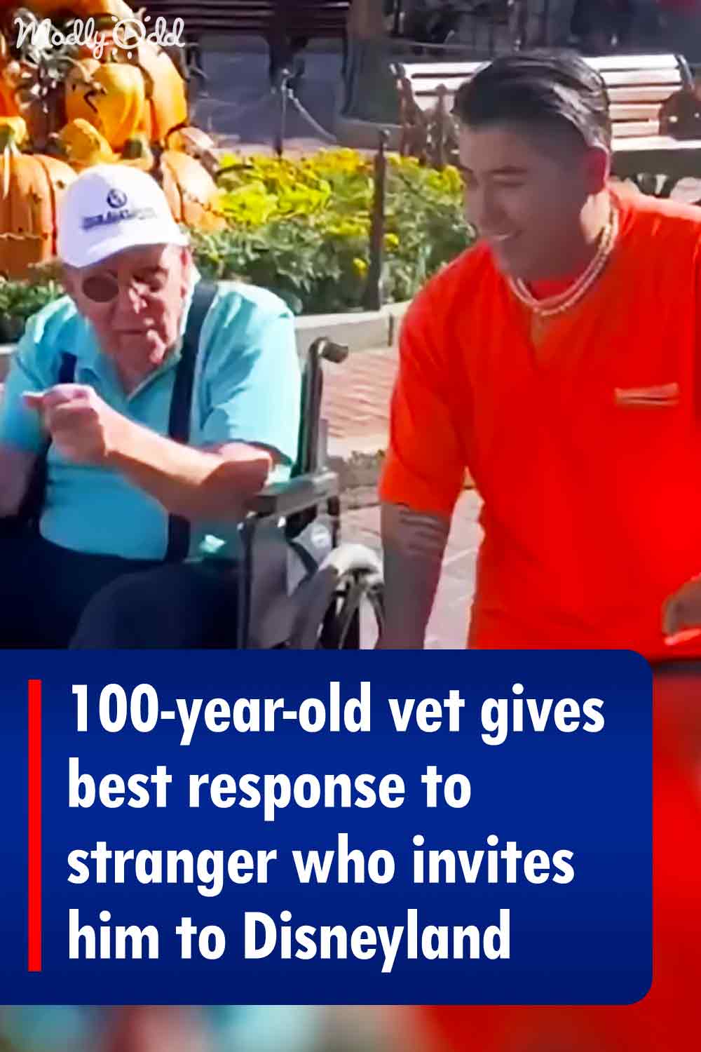 100-year-old vet gives best response to stranger who invites him to Disneyland