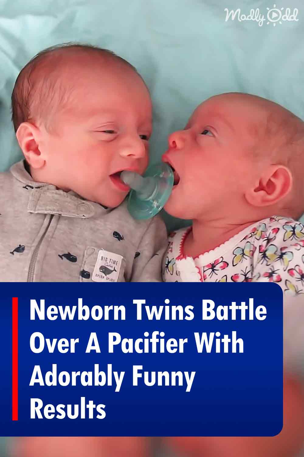 Newborn Twins Battle Over A Pacifier With Adorably Funny Results – Madly  Odd!