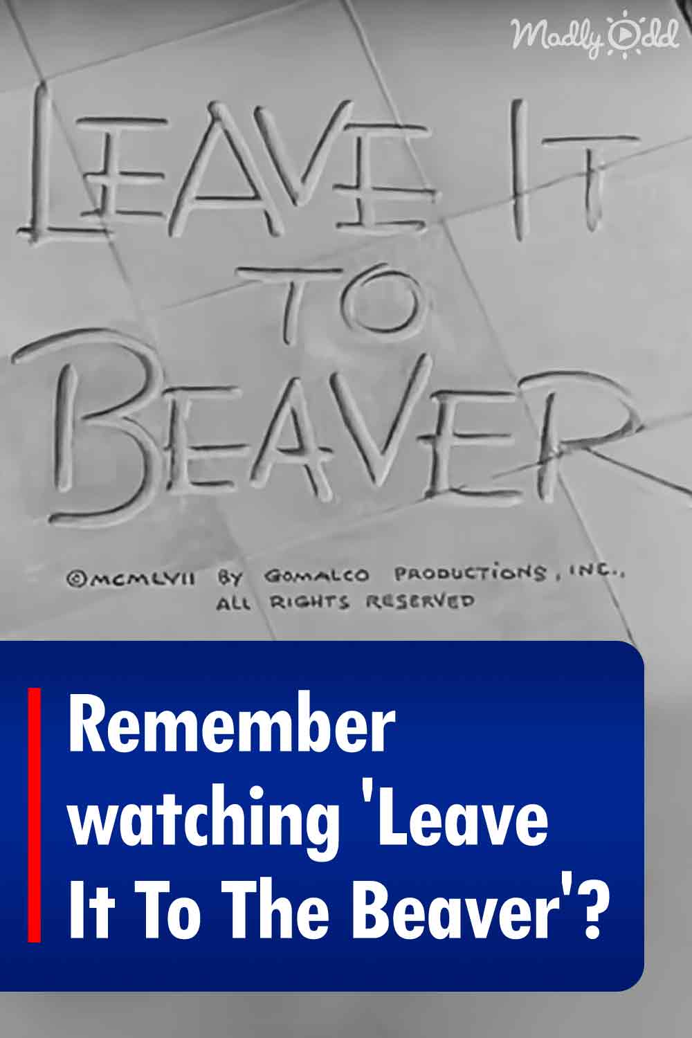 Remember watching \'Leave It To The Beaver\'?