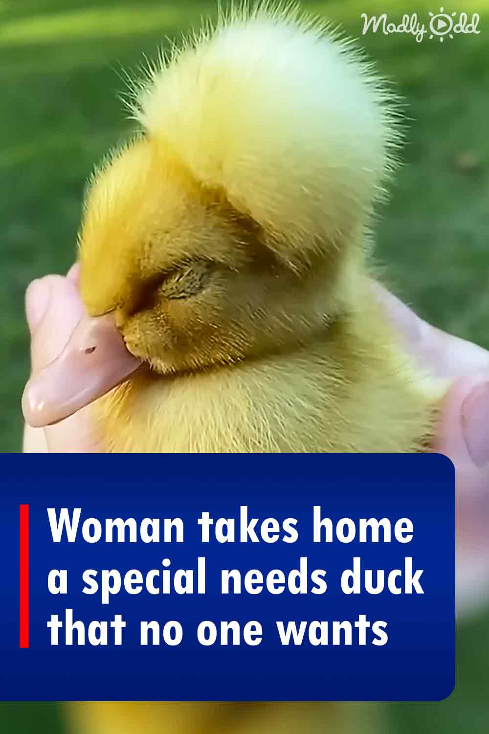 Pinterest Hidden Image