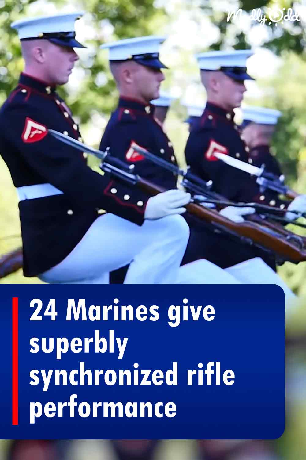 24 Marines give superbly synchronized rifle performance