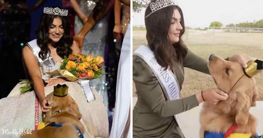 Alison Appleby and her dog