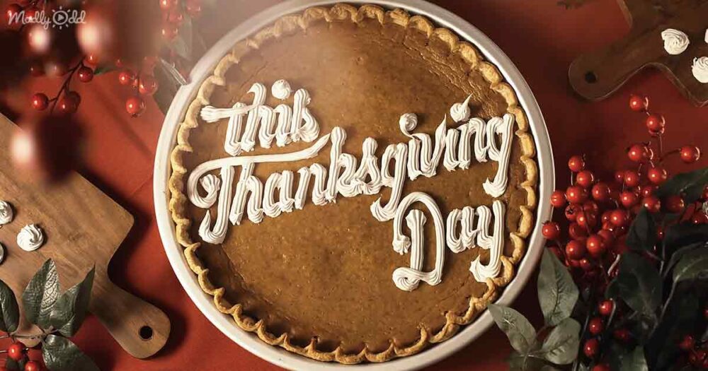 The Thanksgiving Song