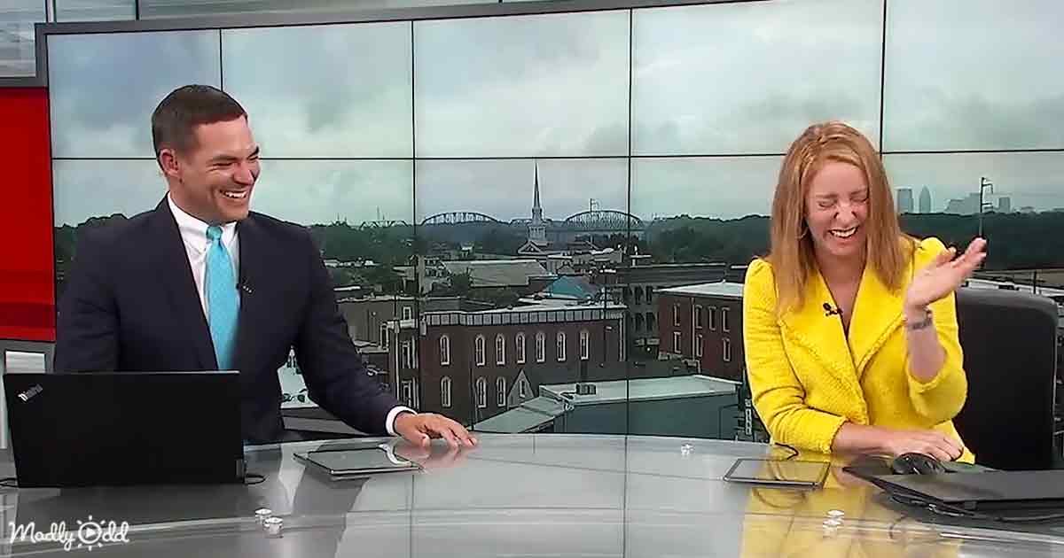 Hilarious news bloopers