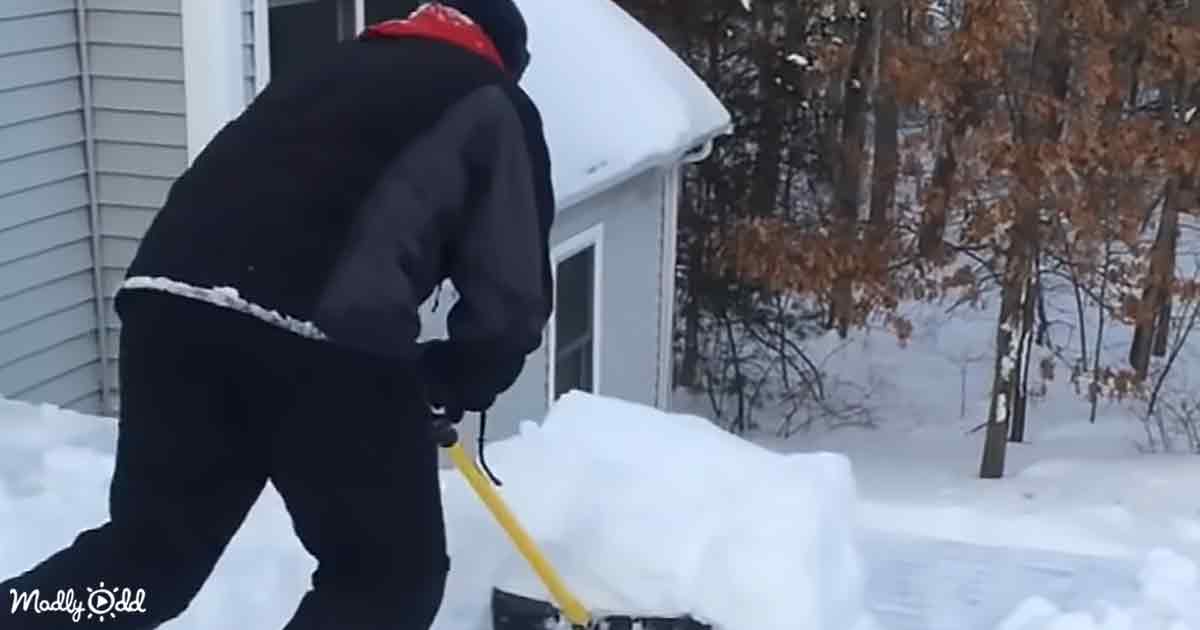 Funniest Snow Removal Fails: A Lighthearted Look at Winter – Madly Odd!