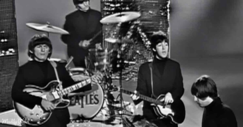 The Beatles