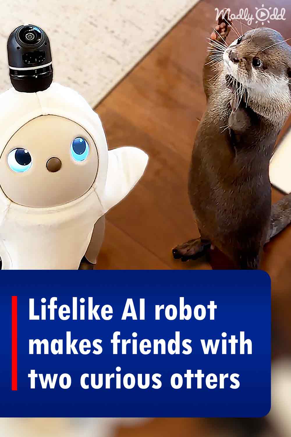 Lifelike AI robot makes friends with two curious otters