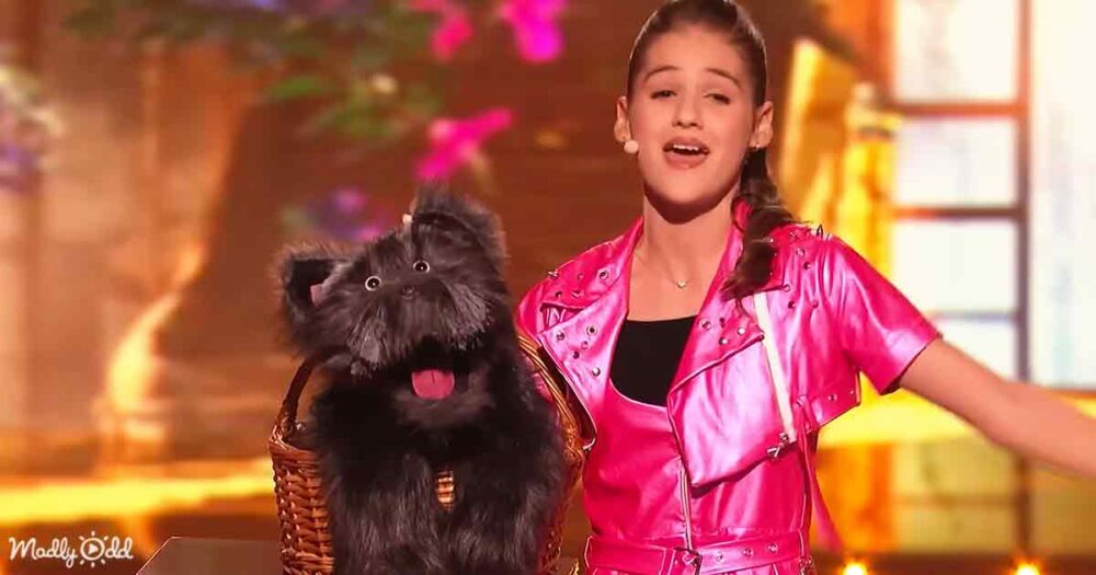 13yearold ventriloquist performs stunning duet with rescuedog puppet