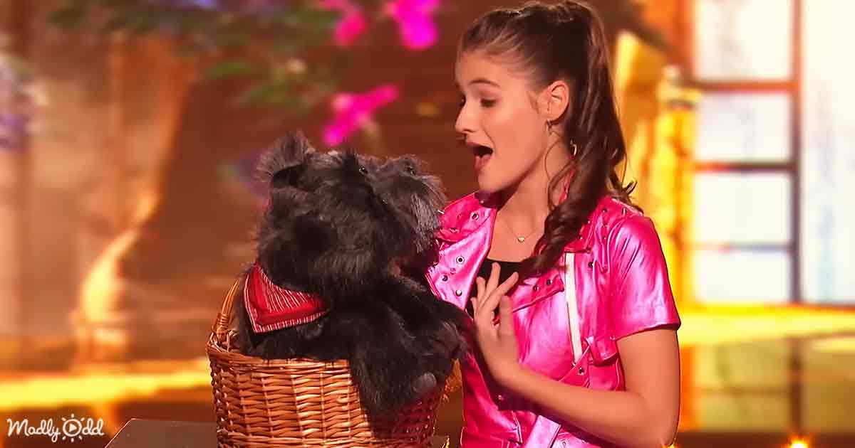 13yearold ventriloquist performs stunning duet with rescuedog puppet