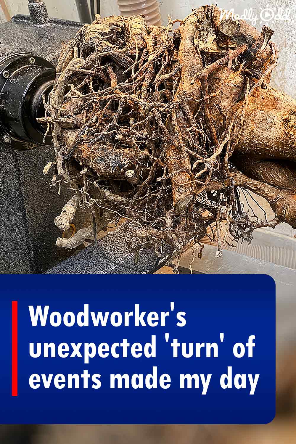 Woodworker\'s unexpected \'turn\' of events made my day