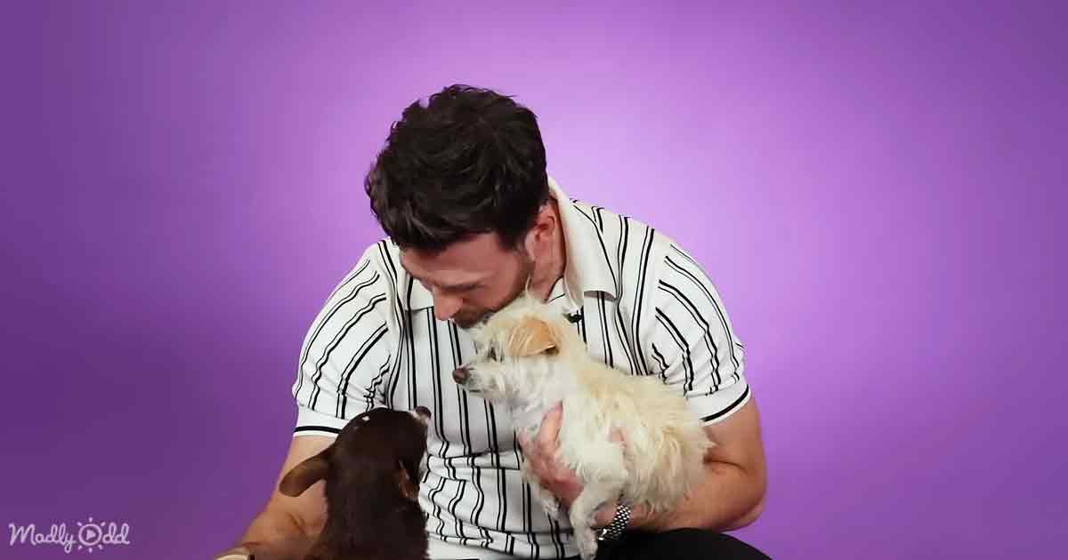 Chris Evans and cute dogs
